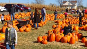 Ocean County's Best Pumpkin Patches